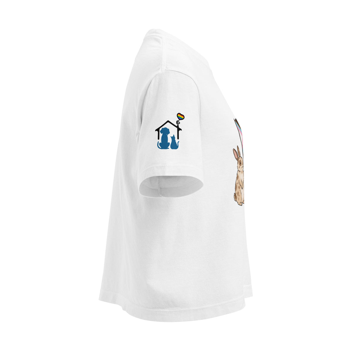 PHS Pride Women’s Heavyweight Boxy Tee